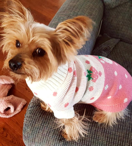 Pet Dog Sweaters Classic Knitwear Turtleneck Winter Warm Puppy Clothing Cute Strawberry and Heart Doggie Sweater